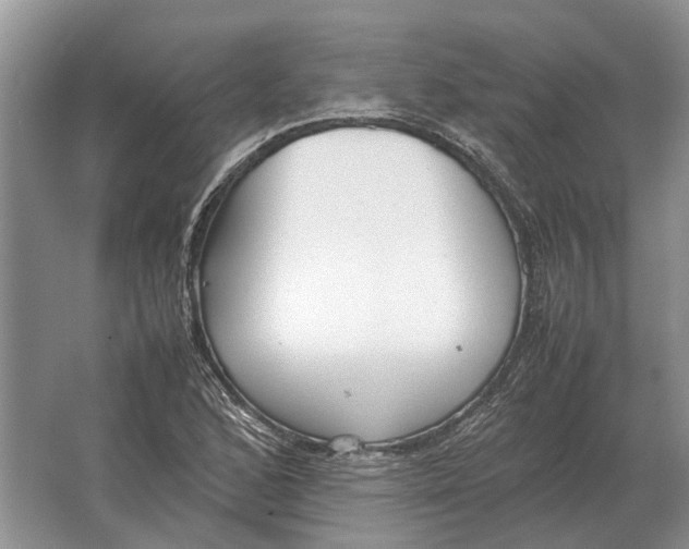 X0000064771168200603031818