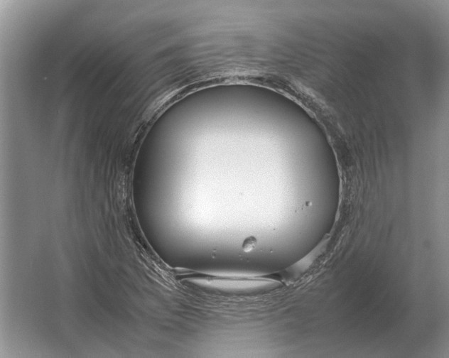 X0000064771169200603031818