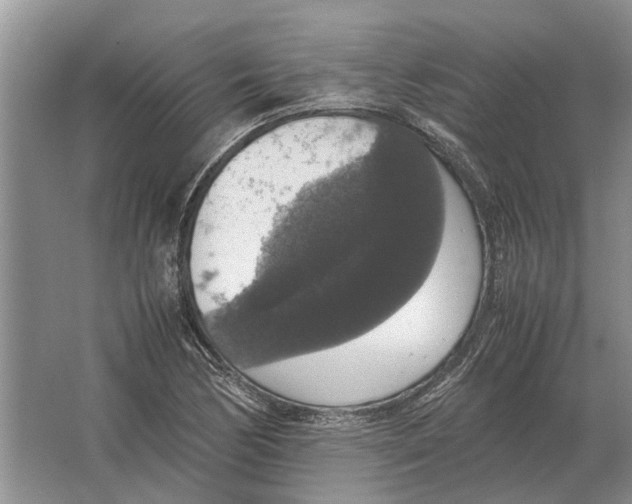 X0000064771170200603031818