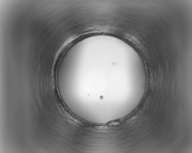 X0000064771172200603031817