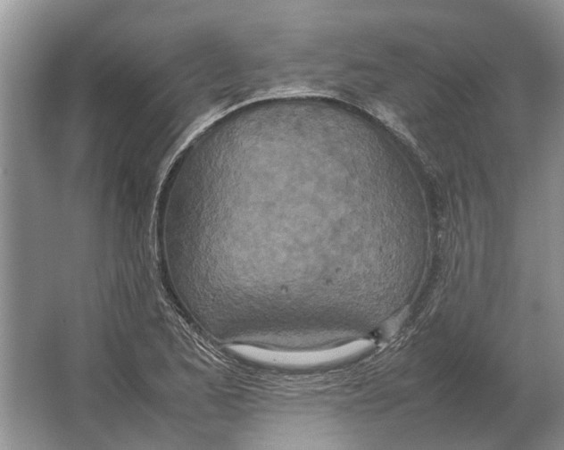 X0000064771173200603031817