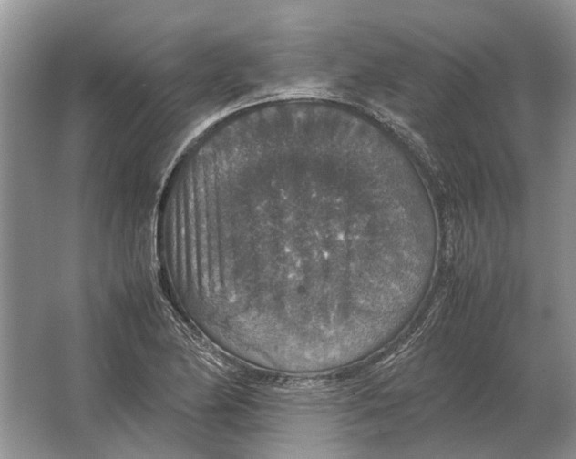 X0000064771174200603031817