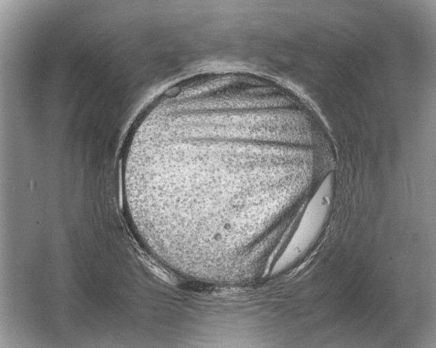 X0000064771175200603031817