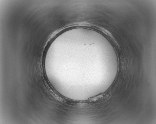 X0000064771176200603031817