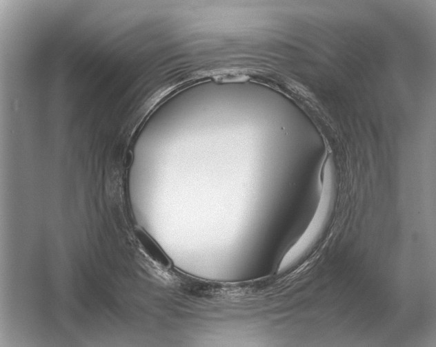 X0000064771177200603031817