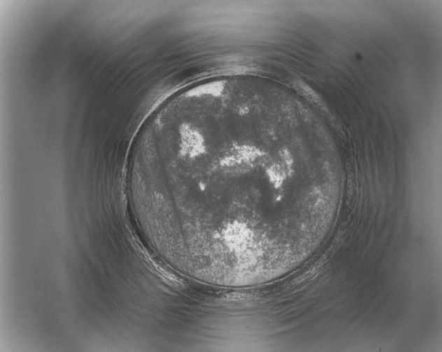 X0000064771178200603031817