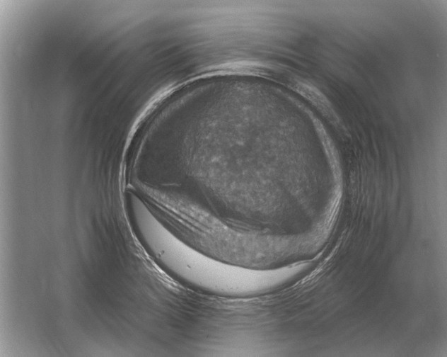 X0000064771180200603031817