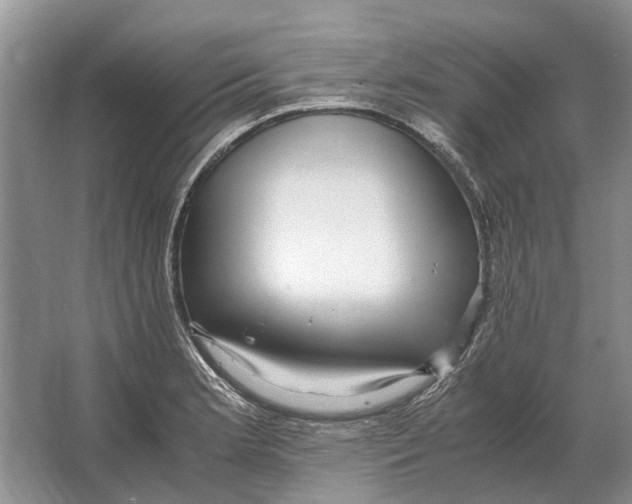 X0000064771181200603031817