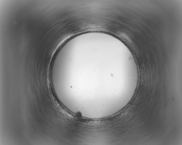 X0000064771182200603031817