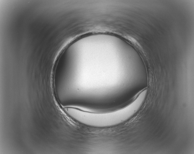 X0000064771183200603031817