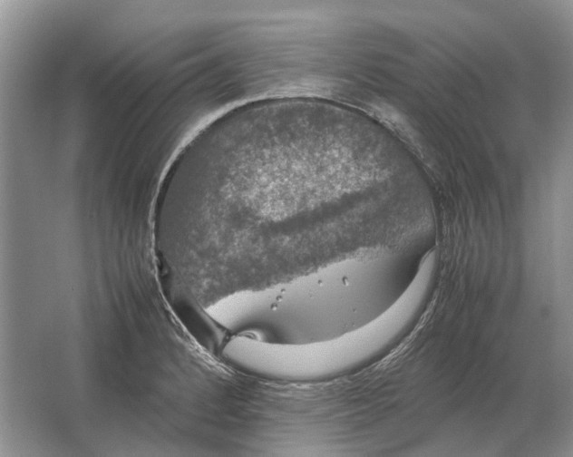 X0000064771184200603031817