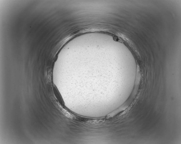 X0000064771185200603031817