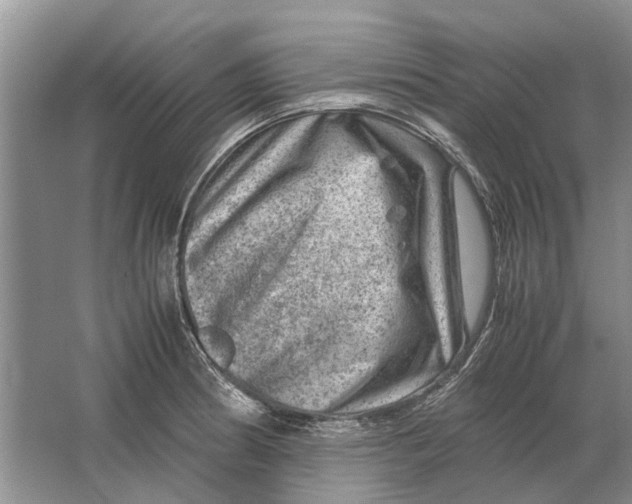 X0000064771186200603031817