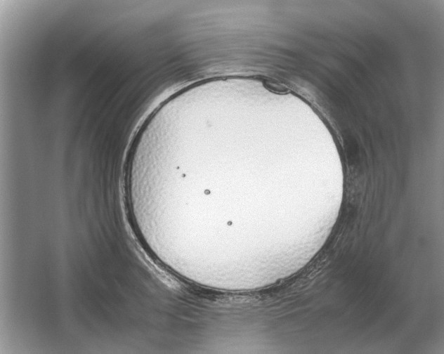 X0000064771187200603031817