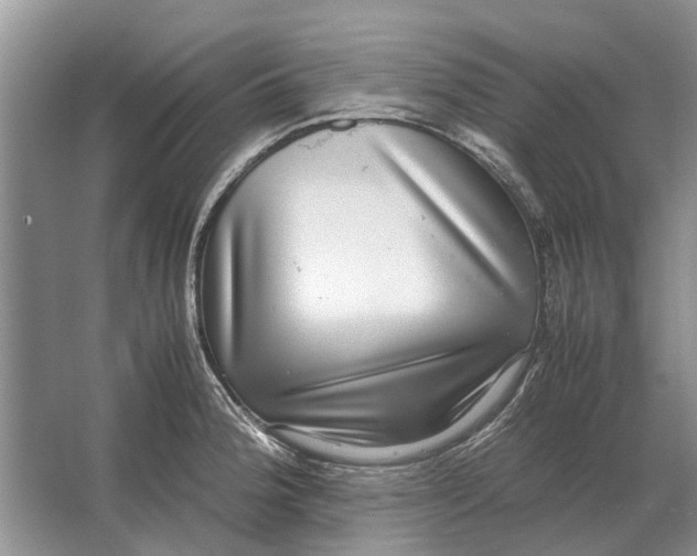 X0000064771188200603031817