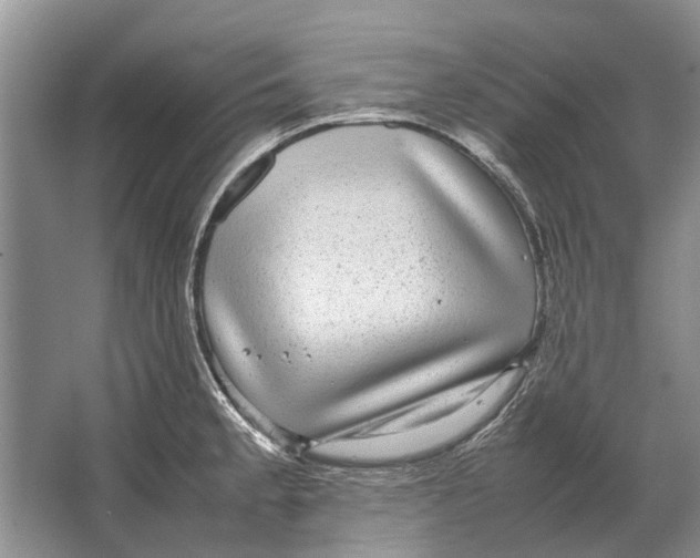 X0000064771189200603031817