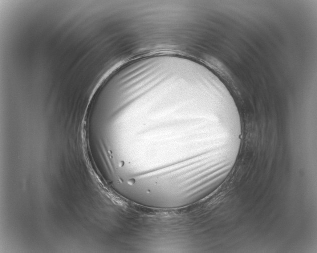 X0000064771190200603031817