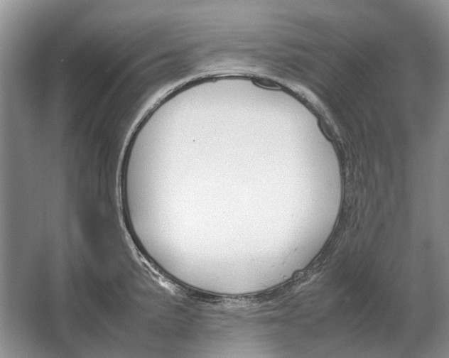 X0000064771191200603031817