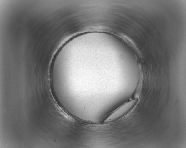 X0000064771192200603031817