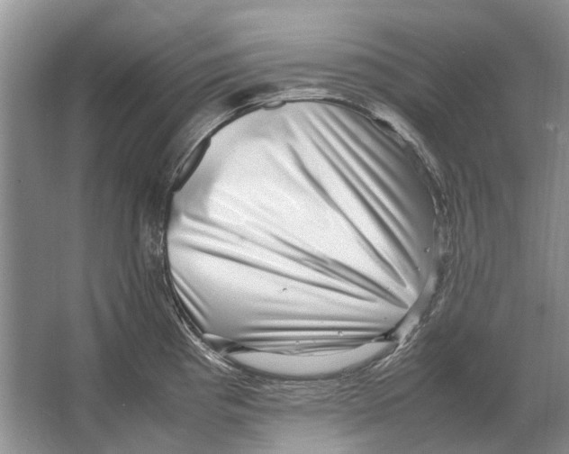 X0000064771193200603031817