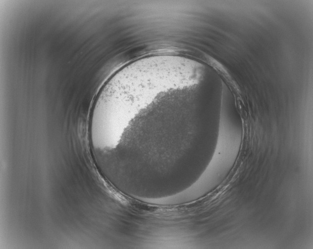 X0000064771194200603031817