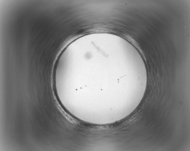 X0000064771195200603031817