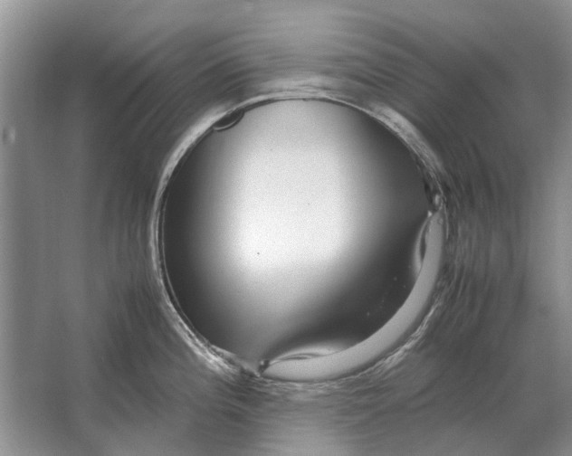 X0000064771196200603031817