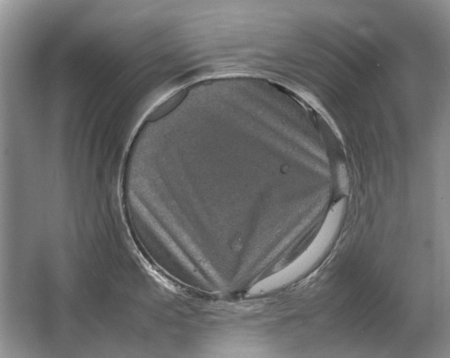 X0000064771197200603031817