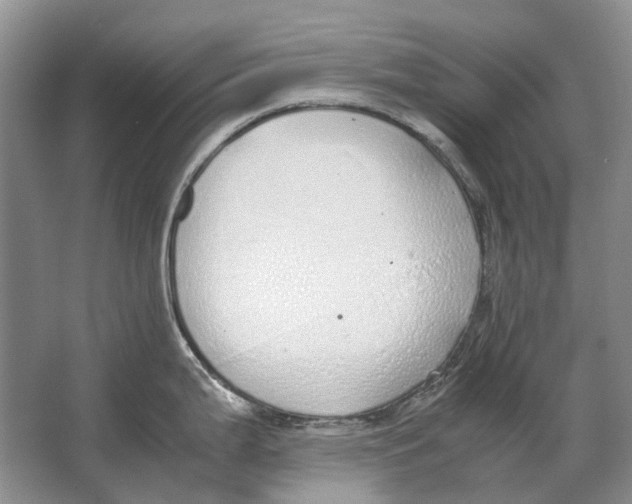 X0000064771199200603031817