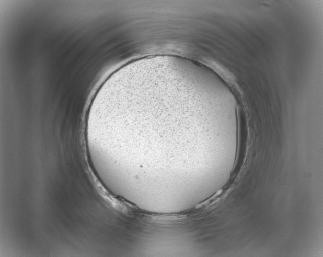 X0000064771200200603031817