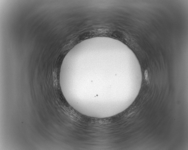 X0000064771203200603031816