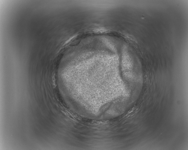 X0000064771205200603031816