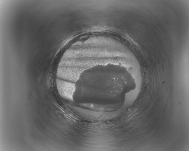 X0000064771208200603031816