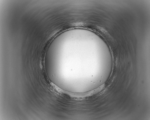 X0000064771209200603031816