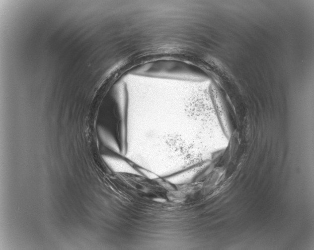 X0000064771210200603031816