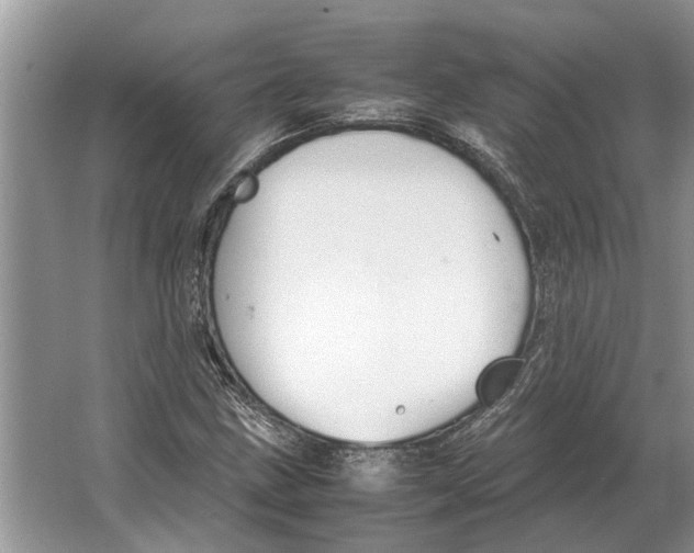 X0000064771211200603031816