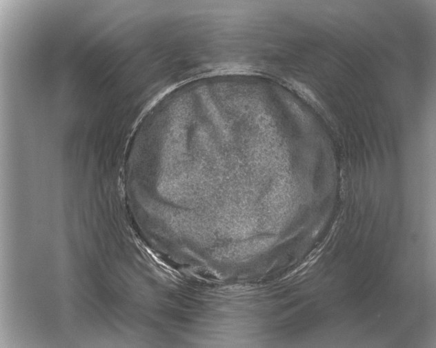 X0000064771212200603031816