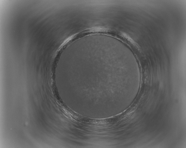 X0000064771213200603031816