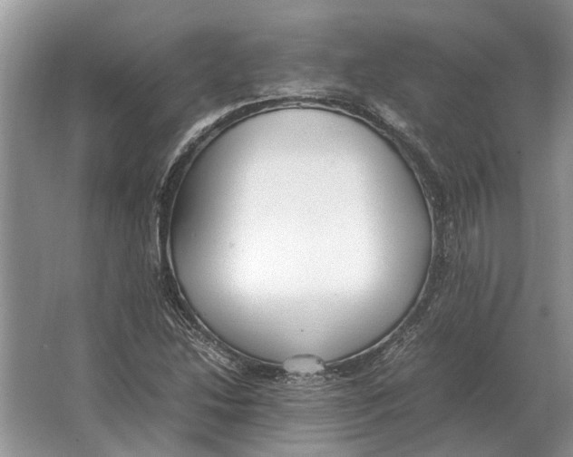 X0000064771214200603031816