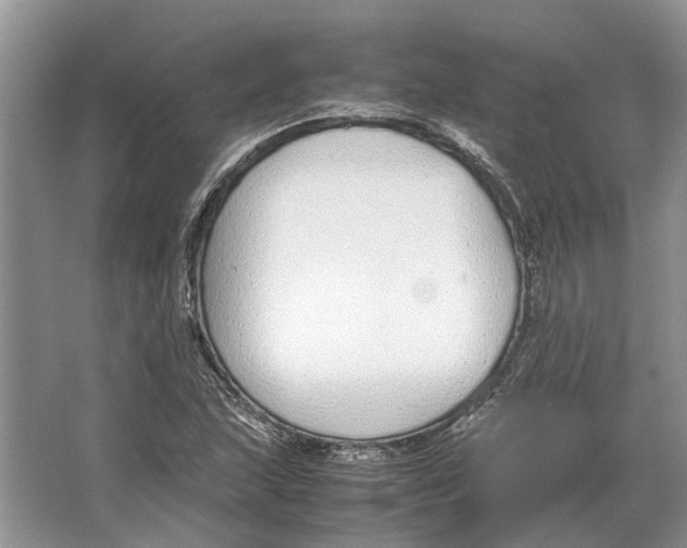 X0000064771215200603031816