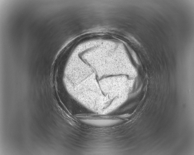 X0000064771216200603031816