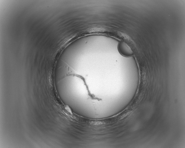 X0000064771217200603031816