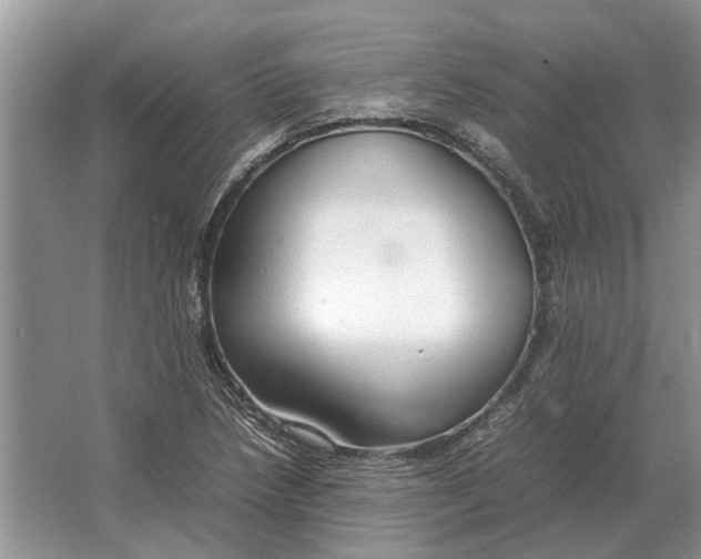 X0000064771218200603031816