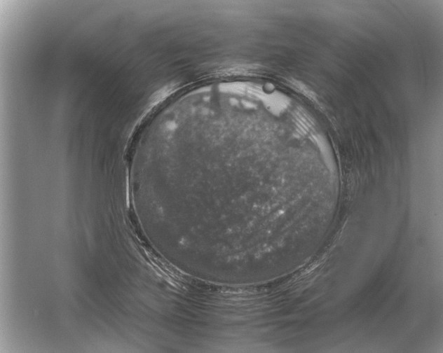 X0000064771219200603031817