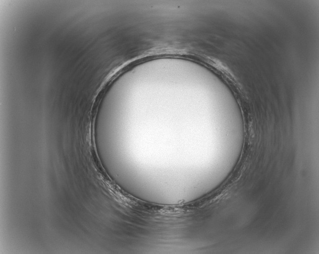 X0000064771220200603031817