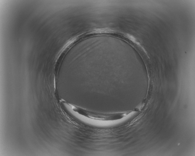 X0000064771221200603031817