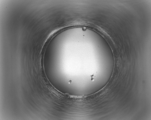 X0000064771222200603031817