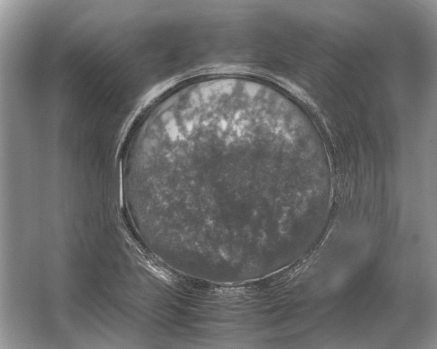 X0000064771223200603031817