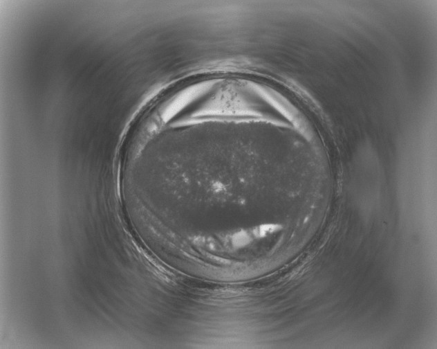 X0000064771224200603031817