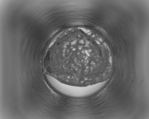 X0000064771225200603031817